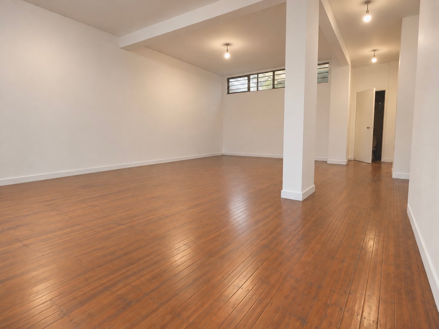 Estudios SOLOS 2